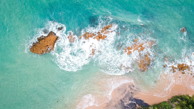 Services view real estate servicing fremantle, exmouth, dampier, karratha